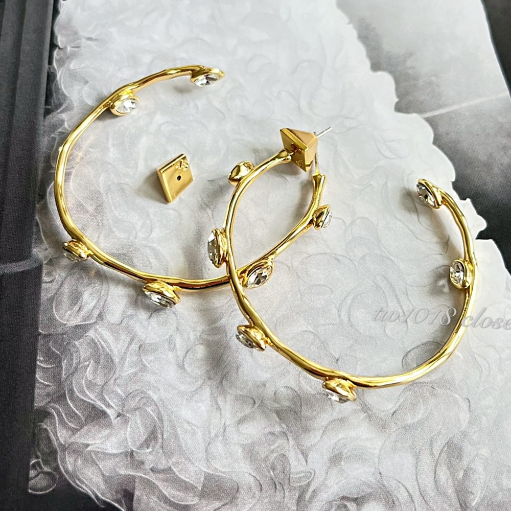 Alexis Bittar Nanette Crystal Hoop Earrings - Picture 11 of 11